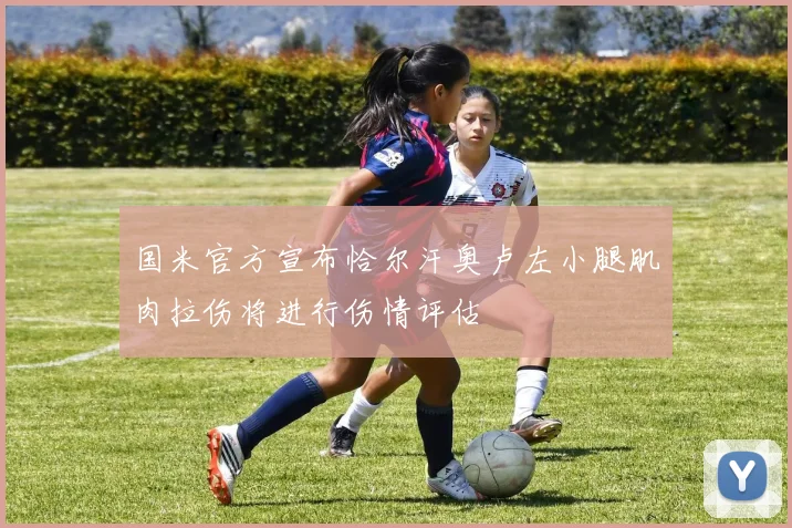 国米官方宣布恰尔汗奥卢左小腿肌肉拉伤将进行伤情评估