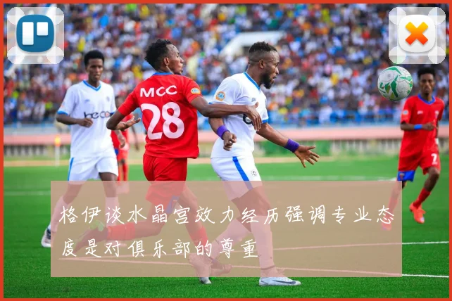 格伊谈水晶宫效力经历强调专业态度是对俱乐部的尊重