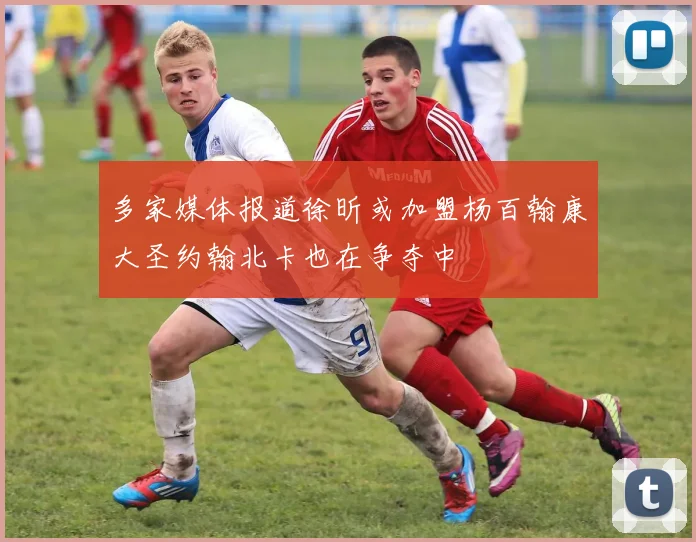 多家媒体报道徐昕或加盟杨百翰康大圣约翰北卡也在争夺中