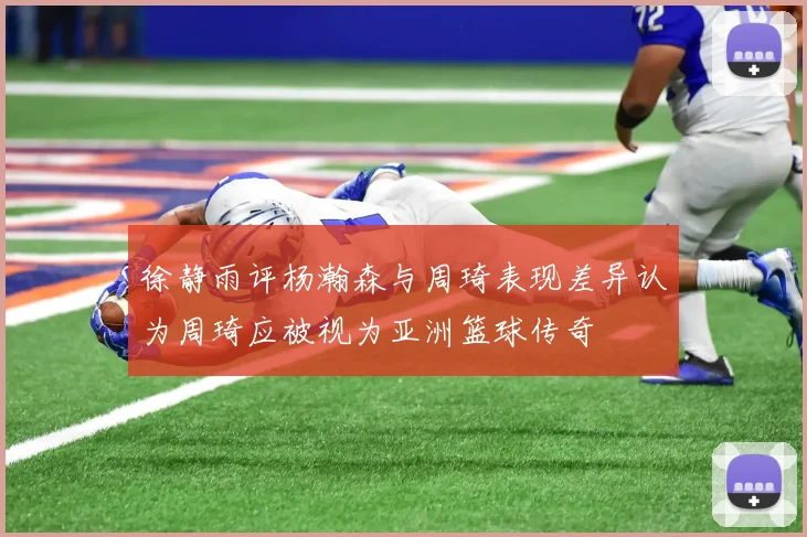 徐静雨评杨瀚森与周琦表现差异认为周琦应被视为亚洲篮球传奇